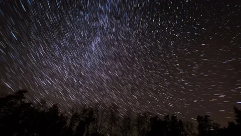 Starry sky with startrails  over forest.  Stock Footage 99269033