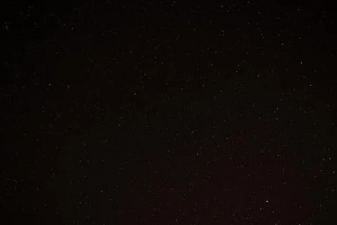 Starry sky through the branches of trees. Foto stock
