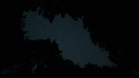 Starry sky through a frame of tree branches Video stock 113874677