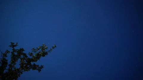 Starry sky through a tree branch, time lapse Stock Footage 137589697