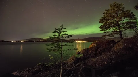 Starry sky with tree and Aurora Borealis Stock Footage 87797689