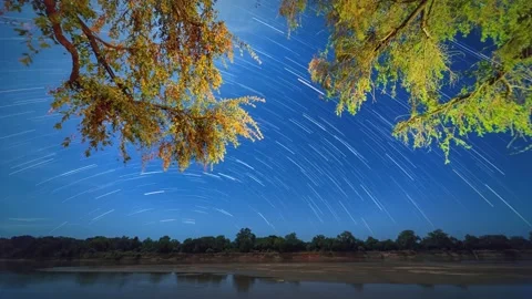Starry sky, trees and river. African landscape Stock Footage 175331892