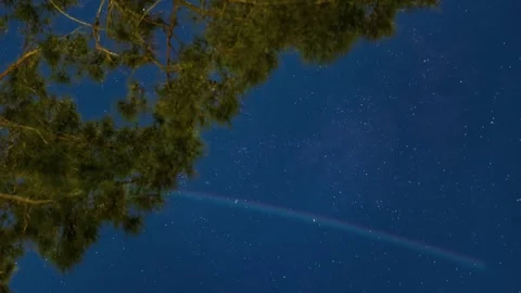 Starry Sky Under a Tree, Time Lapse Medium Close Up 스톡 동영상 345009748