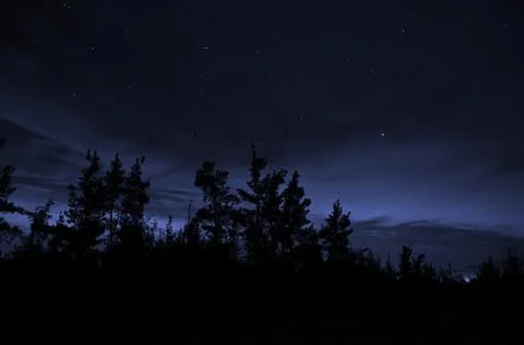 Starry sky in winter without any artificial lights. Stock Photos