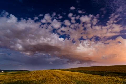 Starry summer night Stock Photos