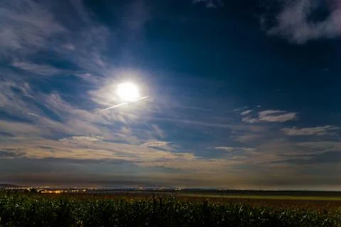 Starry summer night Stock Photos
