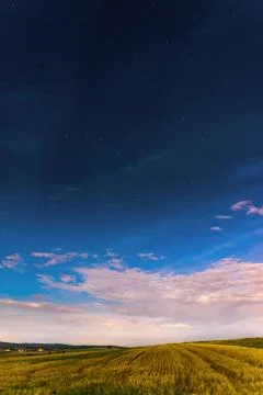 Starry summer night Stock Photos
