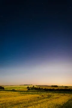Starry summer night Foto stock