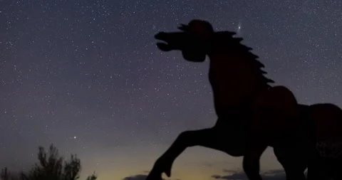 Starry time lapse behind horse statue Stock Footage 165243593