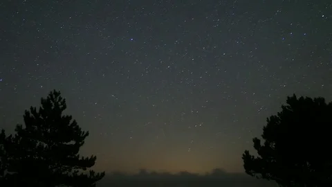 Starry time lapse over the trees Stockbeeldmateriaal 82606054