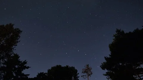 Starry time lapse over the trees Stockbeeldmateriaal 82606201