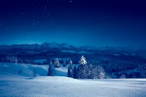Starry winter night Stock Photos