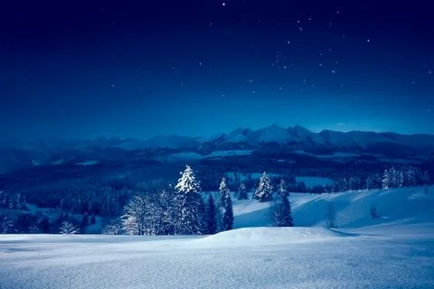 Starry winter night Foto stock