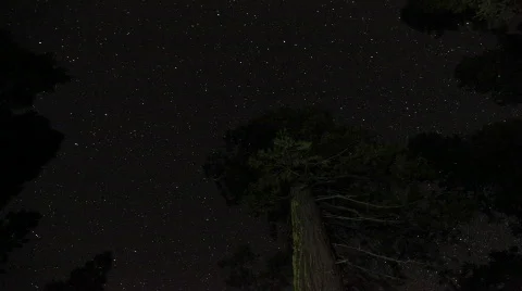 Starrysky Timelapse Stock Footage 785642