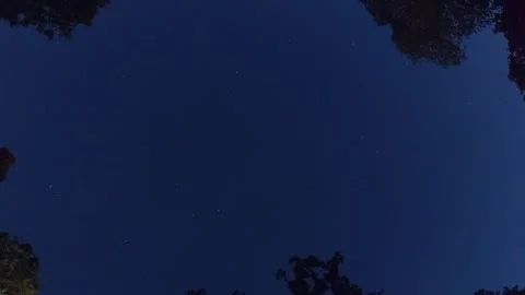 Stars Across Sky Stock Footage 246966631