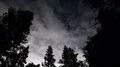 Stars in Alpine Forest Time Lapse Clouds 4k or 4k+ Resolution