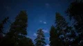 Stars in Alpine Forest Time Lapse Clouds 4k or 4k+ Resolution