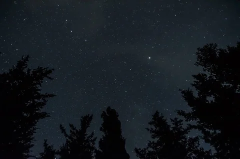 Stars and Clouds above Trees Timelapse Stock Footage 76201437