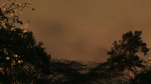 Stars and Daybreak Timelapse 库存影片 10074909