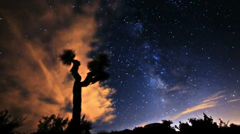Stars and Milky Way Galaxy Timelapse over Joshua Tree Stock Footage
