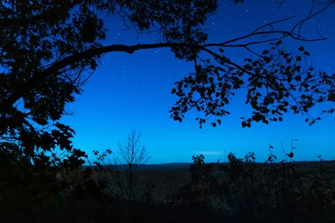 Stars and tree branches Stock Footage 128657516