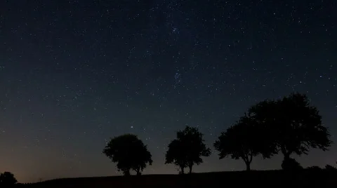 Stars and trees Stock Footage 36840441