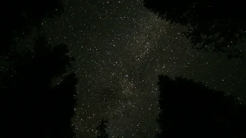 Stars and Trees Time lapse 4K Stock Footage 72997236