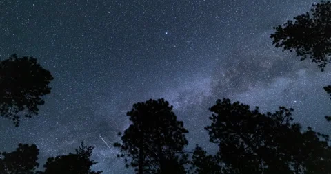 Stars and trees time lapse with milky way Stock Footage 165240318