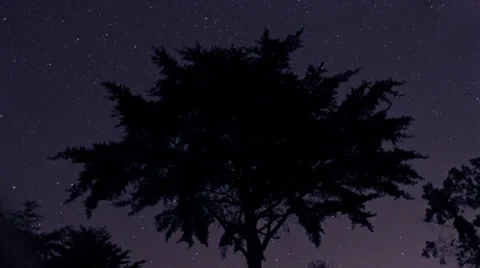 Stars Behind Lonely Tree Time Lapse Stock Footage 35294004