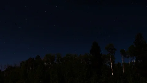 Stars Behind Trees 4K Video stock 92956020