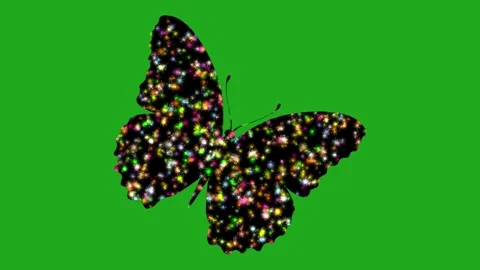 Stars in Butterfly Stock Footage 337424150