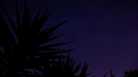 Stars Stock Footage 98502405
