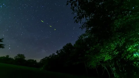 Stars in the Hocking Hills Stock Footage 71561048