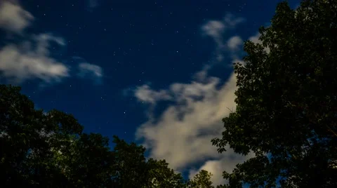 Stars - Moonlit Clouds &amp; Trees - 4K Time Lapse Vidéo 46589108