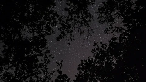 Stars moving across night sky Stock Footage