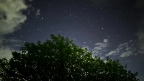 Stars Moving Under the Tree – Night Sky Timelapse Stock Footage 313555545