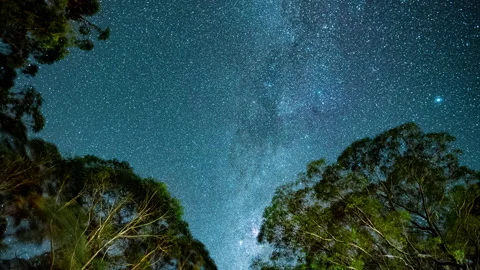 Stars in the night sky Video stock 154806780
