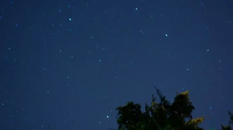 Stars Over Tree Timelapse 库存影片 8826608