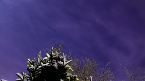 Stars Over The Winter Forest Video stock 60215147
