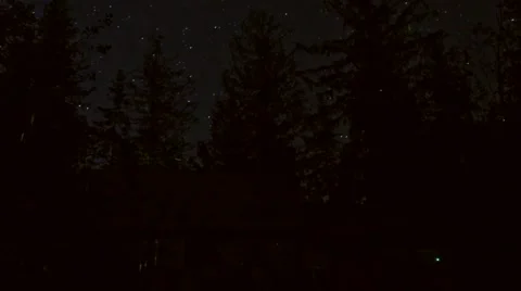 Stars Pass Over Trees Timelapse Stock Footage 65052915