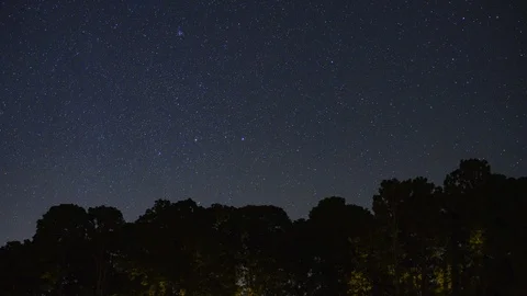 Stars passing by over forest	 Stock Footage 126731461