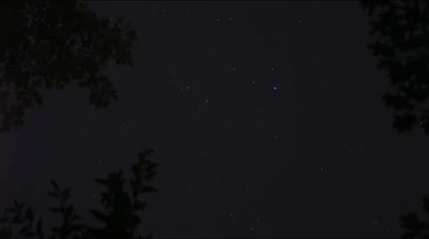 Stars through the Trees Stock Footage 14899508
