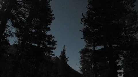 STARS THROUGH TREES Timelapse Stock Footage 36176268