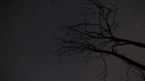 Stars Time Lapse Stock Footage 20053878