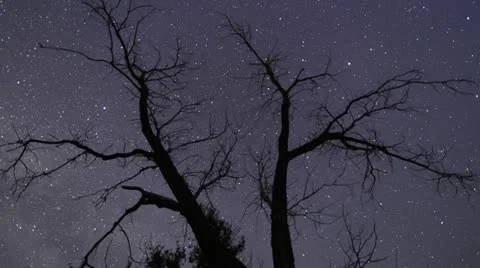 Stars Time Lapse Stock Footage 20105448