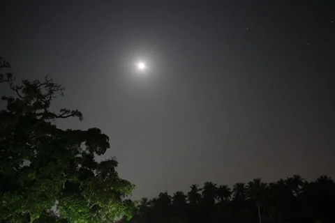 Stars time lapse Video stock 35931421