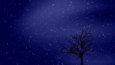 Stars in time lapse at night - black silhouette of tree - motion sky background Stock Footage 150559845