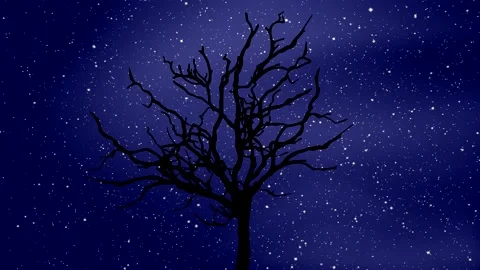 Stars in time lapse at night - black silhouette of trees - motion sky background Stock Footage 150559850