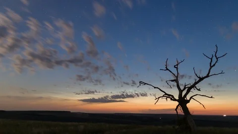 Stars timelapse with clouds passing dead tree on foreground. Stock Footage 121418138