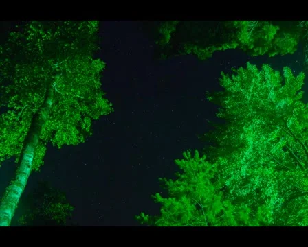 Stars timelapse Stock-Footage 42658082